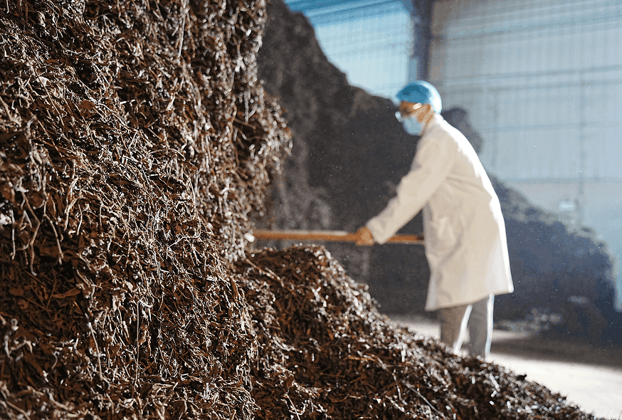 Природа «Мэнхайского вкуса»