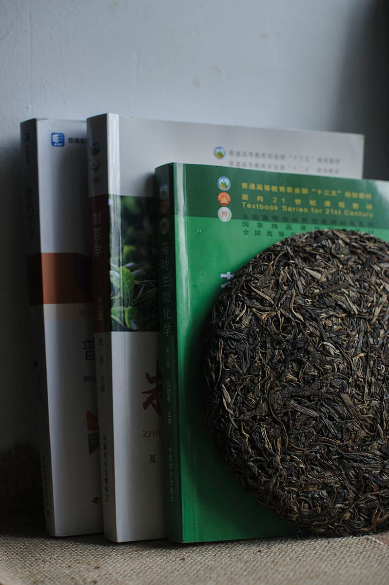 Создание Маоча. Часть 1. Сбор, оценка и классификация сырья. Управление чайными листьями