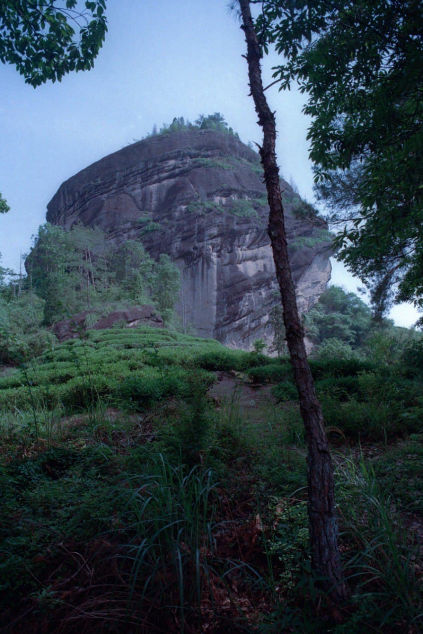 Что такое Янь Юнь, «Утёсная Мелодия»