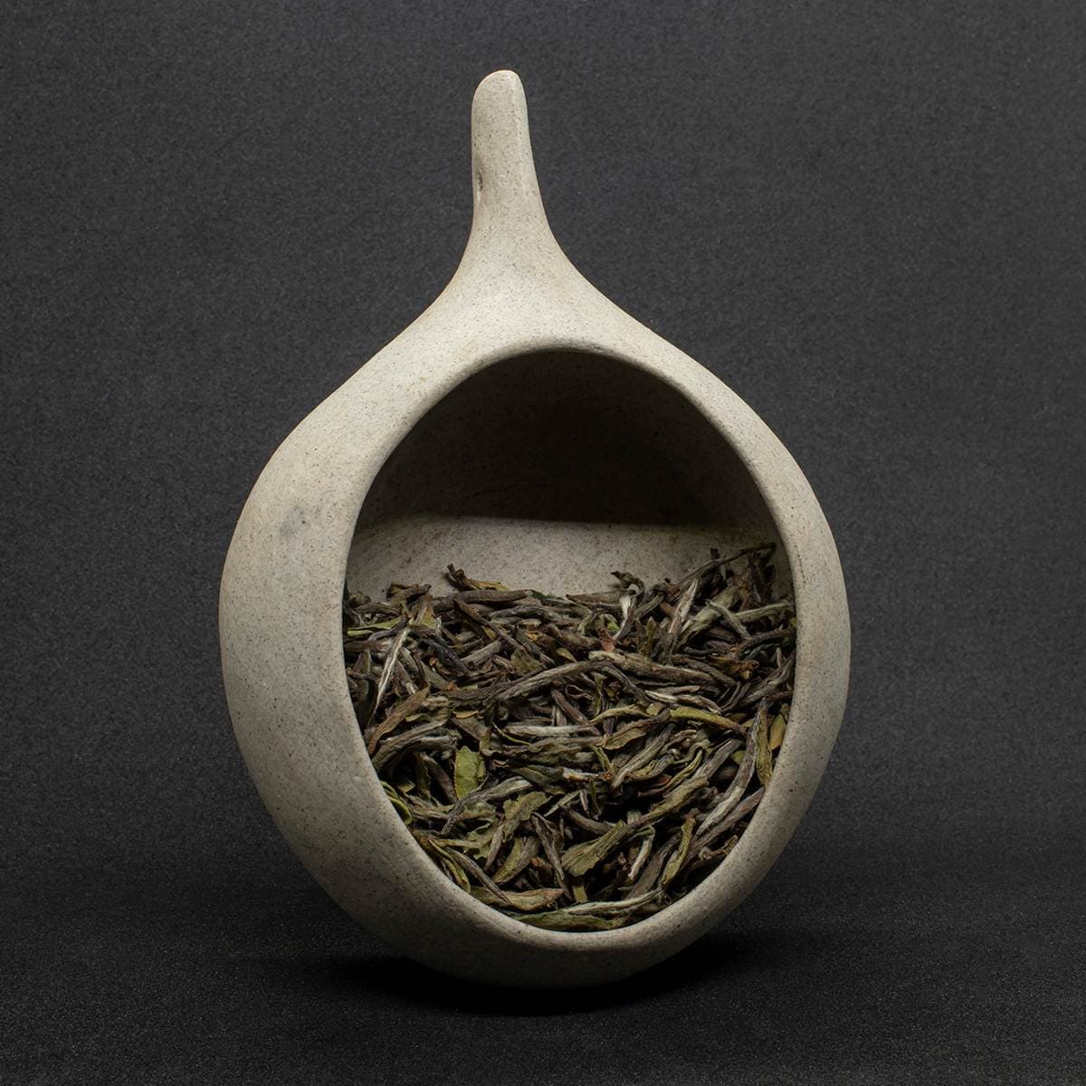 Бай Хао Инь Чжэнь, 2013 год