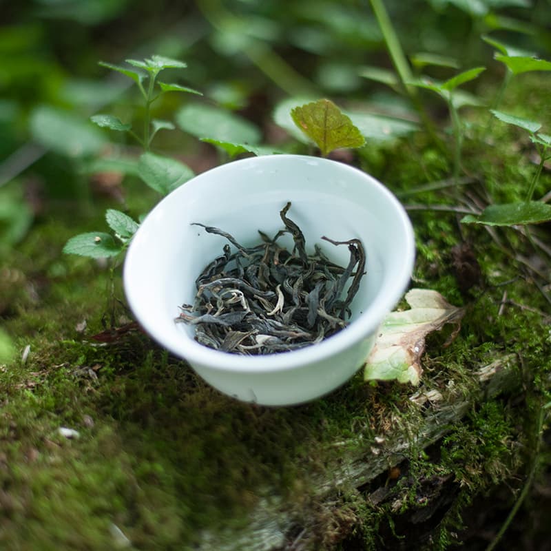 Шэн пуэр из Манфэя, 2021 год