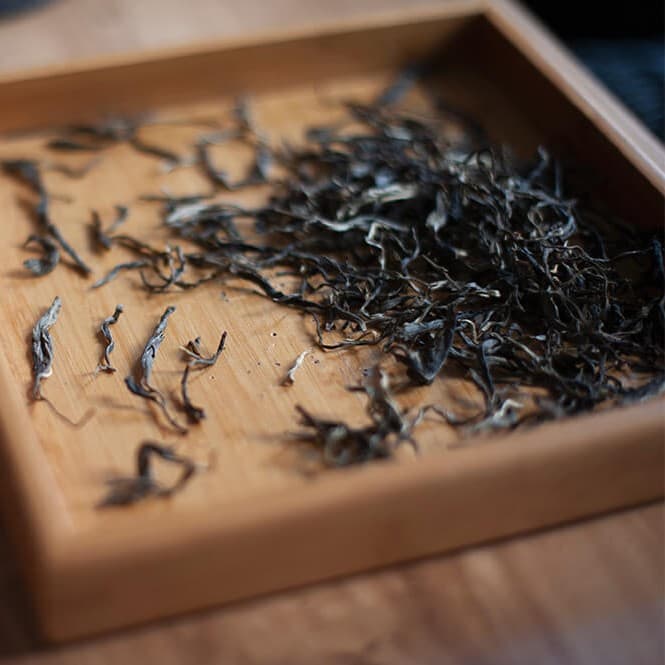 Шэн пуэр Яньцзытоу, 2022 год